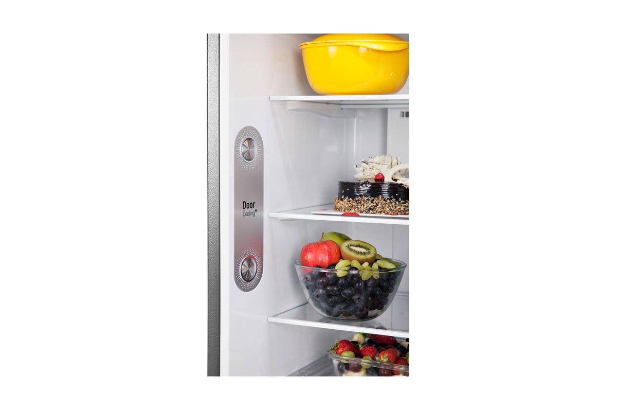 LG 260 L 2 Star Smart Inverter Frost-Free Double-Door Refrigerator (GL-T292RPZY,Shiny Steel,Convertible) -10711