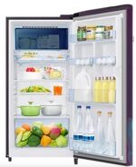 Samsung 189 L 5 Star Direct Cool Refrigerator (RR21C2E259R,Paradise Bloom Purple)-15170
